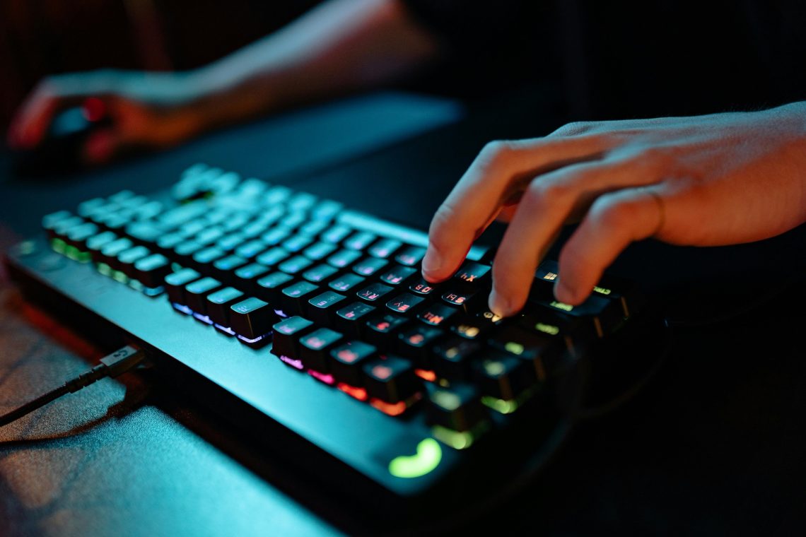 best single player pc games