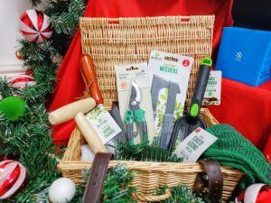 gift guide