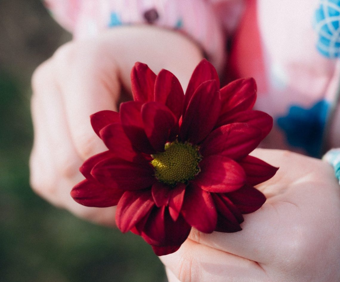 How to Teach Compassion