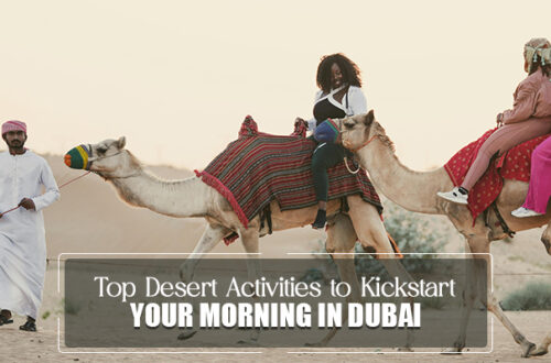 Desert Activities